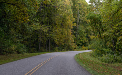 A Stunning view to the road of autumn