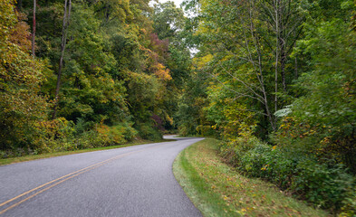 A Stunning view to the road of autumn