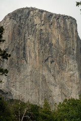 Giant Granite Rock Face Of El Capitan In Yosemite