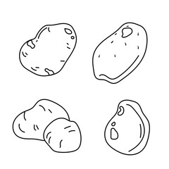 Potatoes Vector Lineart - Culinary Simplicity in Black and White