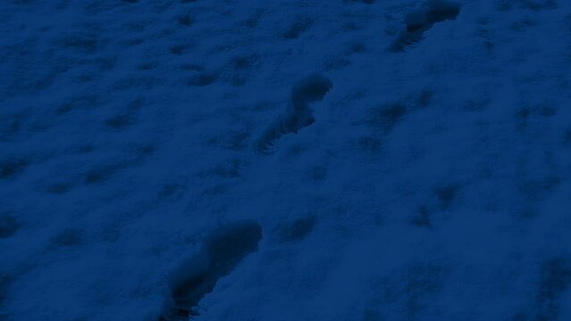 Person Walks Through the Snow At Night 4 Shots
