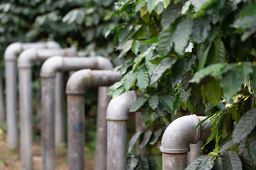 Iron pipes are on green nature.Selective focus.