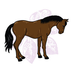 Horse hand drawing illustration vector