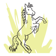 Horse hand drawing illustration vector