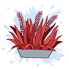 House plant hand drawn illustration vector