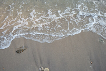 the beach in the summer