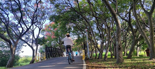 Beautiful scenery on the bicycle path in Bali District, Tamsui City, New Taipei City, Taiwan - 708798352