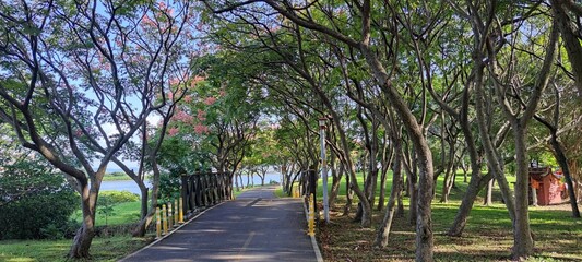 Beautiful scenery on the bicycle path in Bali District, Tamsui City, New Taipei City, Taiwan - 708798366