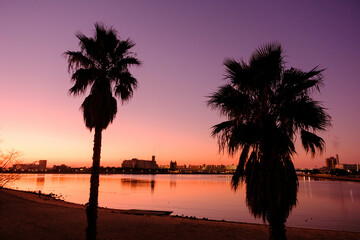 Fototapeta na wymiar 夜明け前の海岸。あたりはオレンジ色に染まり椰子の木がシルエットで浮かぶ。