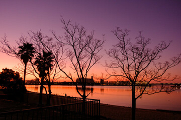 夜明け前の海岸。あたりはオレンジ色に染まり木々がシルエットで浮かぶ。