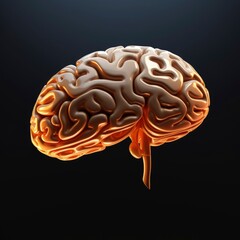 3d rendering of a brain with isolated background