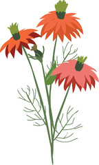 Obraz na płótnie Canvas Hand drawn flora illustration on transparent background.
