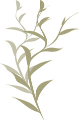 Leaves illustration on transparent background.
