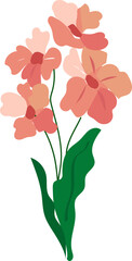 Hand drawn flora illustration on transparent background.