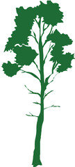 Obraz premium Trees silhouette green illustration on transparent background.