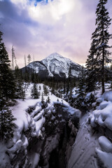 Fototapeta na wymiar Dreamy Winter Mountains in British Columbia