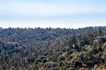 Nature mountain landscape mount laguna california