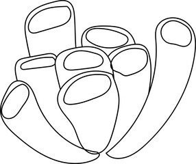 Hand drawn coral illustration on transparent background.
