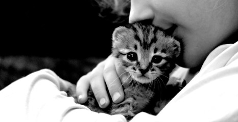 Black and white banner with child and kitten. Hugging lovely pets.