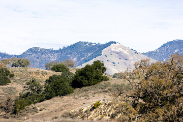 Fototapeta na wymiar Grass Mountain Los Olivos California