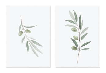 Foliage poster template design, olive branch on grey