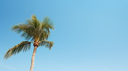 beach minimal summer background illustration sun waves, palm sand, sea vacation beach minimal summer background