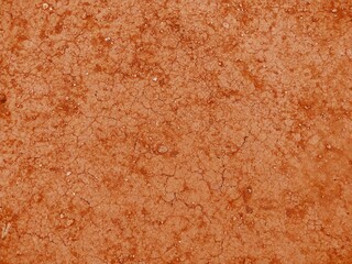 Red-brown ground, area for agriculture, plant cultivation.
