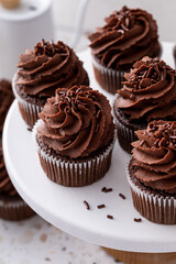 Chocolate cupcakes topped with whipped chocolate ganache