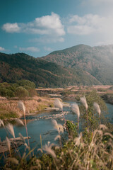 Fototapeta na wymiar Beautiful Scenery of Hozugawa River in Kyoto, Japan