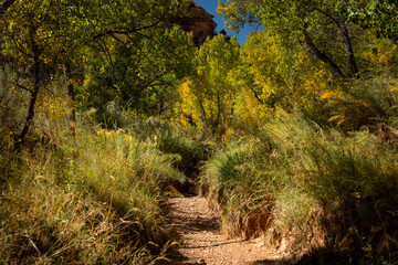 The Creekbed