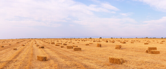 Lots of bales of hay on the field.