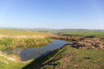 Naklejka premium Small swamp in the mountains. Shamakhi region. Azerbaijan.