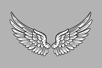 Sketch angel wings. Angel feather wing. Vector illustration.