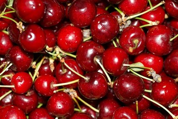 ripe cherries inside a cardboard box, seasonal fruits