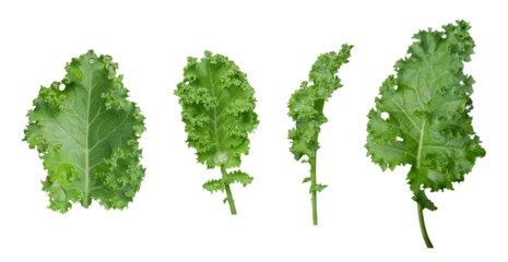 Türaufkleber Kale leaf salad vegetable isolated on transparent background. © nunawwoofy