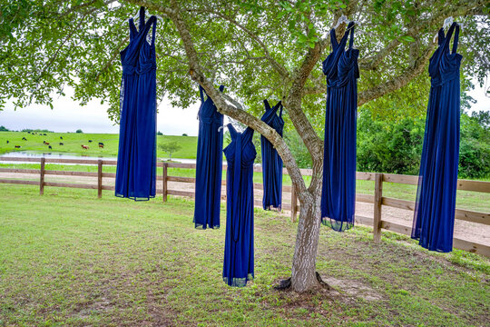 Five blue bridesmaids dresses hang from a tree in a rural setting