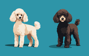 Poodle dogs standing vector cartoon illustration