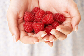 Hands, woman and holding raspberry fruits for detox, vegan diet and eco nutrition of healthy ingredients. Closeup of red berries, organic food and sustainable benefits of vitamin c, wellness and care