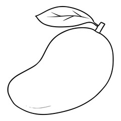 isolated fresh mango illustration hand drawn sketch outline vector