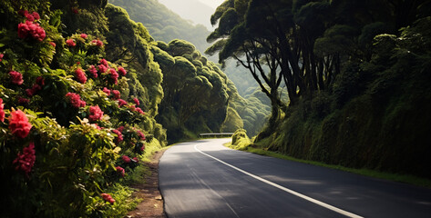 road in the mountains, summer beautiful view road