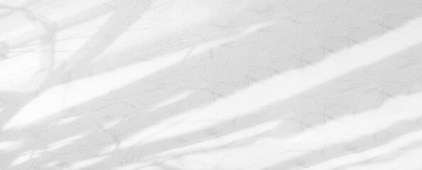 Obraz premium Shadow Background Effect Mockup Frame Abstract Technology Business Black Grey Shade Design blur Cement Wall Floor Minimal Empty Backdrop Overlay Light Nature Leaves Window White Template Summer.
