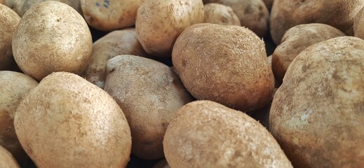 Close up of heap raw potatoes placed on stall of market ready to sold. Potato background