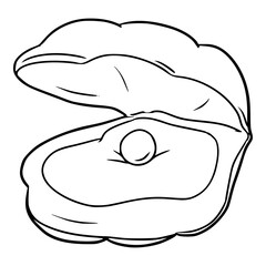 clam illustration hand drawn outline sketch vector