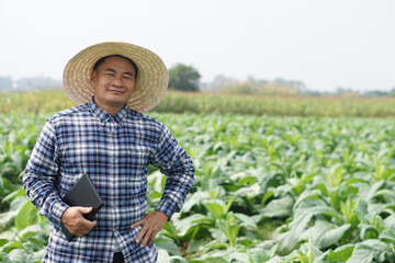 Asian man gardener is at garden, wears hat, plaid shirt, holds smart tablet to inspect growth and diseases of plants. Concept, agriculture inspection, study survey and research to develop crops.