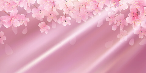 桜　春　カーテン　背景	