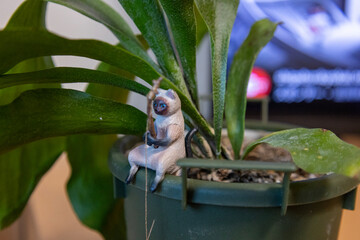 観葉植物の鉢の縁に飾った釣りをする猫のフィギュア