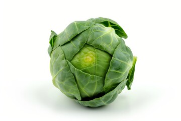 Whole Green Cabbage on White Background