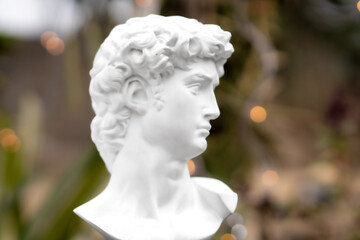 Gypsum statue of David's head in nature with bokeh background. Michelangelo's David statue plaster copy isolated on white background. Ancient greek sculpture, statue of hero