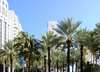 Historical Art Deco Buildings in Miami South Beach, Floeida