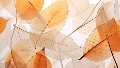 Naklejka premium autumn leaves, natural beauty